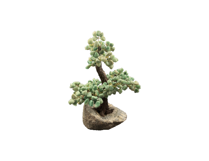 Arbol de jade