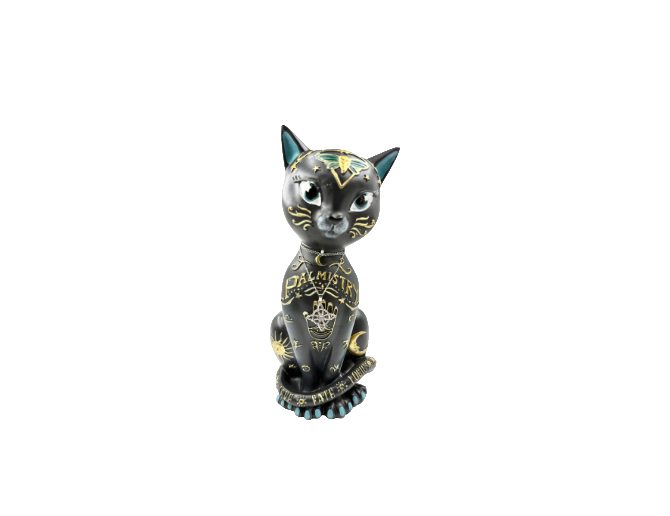 Gato negro