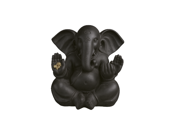 Ganesha negra F