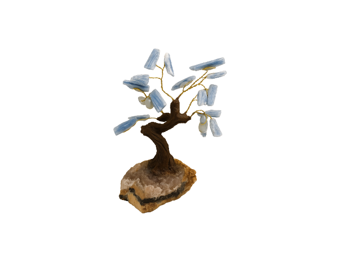 Arbol de cianita