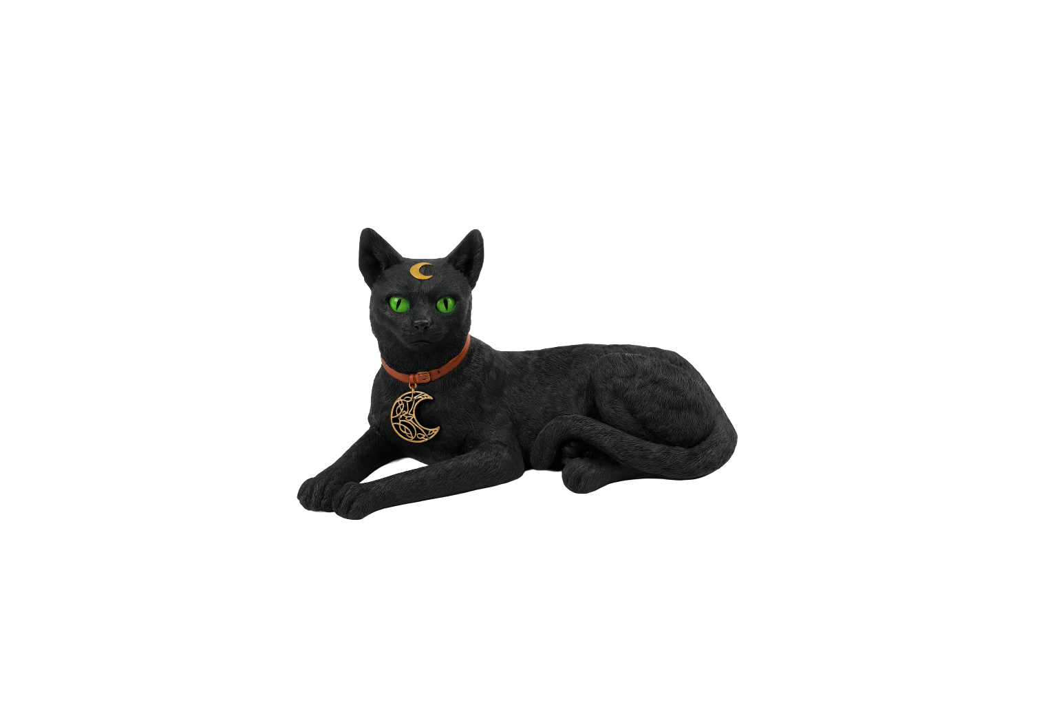 Gato protector de bruja